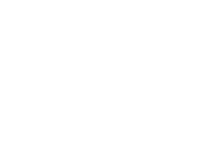 Logo OLYMPIQUE DARNETAL BASKET