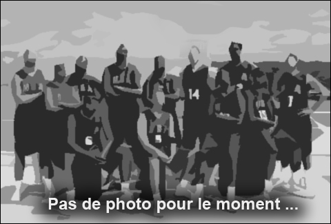 Pas de photo - OLYMPIQUE DARNETAL BASKET